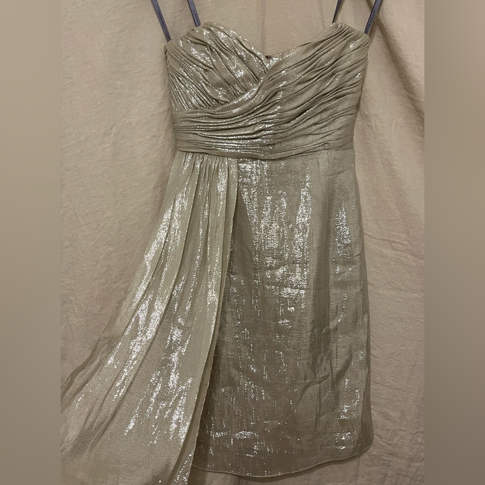 Silver Silk Vera Wang Strapless Dress